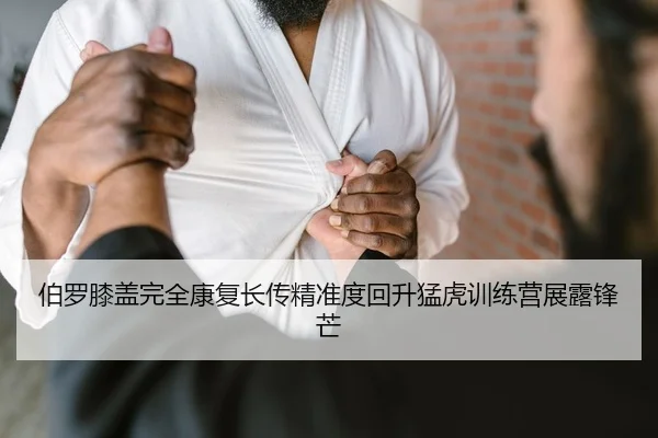bo-luo-xi-gai-wan-quan-kang-fu-zhang-chuan-jing-zhun-du-hui-sheng-meng-hu-xun-lian-ying-zhan-lu-feng-mang-2-898.jpg
