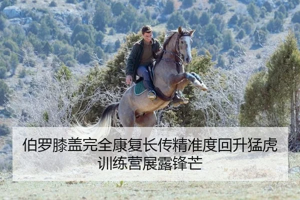 伯罗膝盖完全康复长传精准度回升猛虎训练营展露锋芒